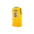 Nike Nba Los Angeles Lakers Lebron James Swingman