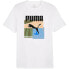 Puma Graphics Summer Sports Tee II M 627909 02