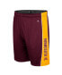 Men's Maroon Minnesota Golden Gophers Panel Shorts