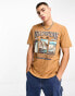 Cotton On – Locker geschnittenes T-Shirt in Ingwer mit „Yellowstone“-Print