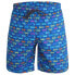 NEWWOOD Campervan Swimming Shorts