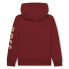 BOSS J51127 hoodie