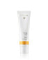 Dr. Hauschka Face Care Tinted Day Cream (30 ml)