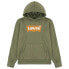 LEVI´S ® KIDS Batwing Screenprint hoodie