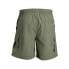 JACK & JONES Fiji Swimming Shorts