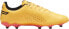 Puma Buty piłkarskie Puma King Match FG/AG 107570 05 45