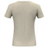 SALEWA Eagle Eitd AM T-shirt