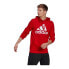 Adidas Essentials Fleece Big Logo Hoodie