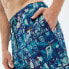 HYDROPONIC 17´ Na Frame Swimming Shorts