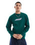 Santa Cruz creep crew crew logo sweatshirt in green