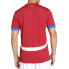 Puma Fss Crew Neck Short Sleeve Home Soccer Jersey Replica Mens Red 77430001