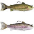 LIVE TARGET Trout Adult swimbait 71g 165 mm