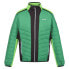 REGATTA Halton VII jacket