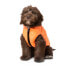 FUZZYARD Aeon Dog Sweatshirt Hoodie