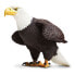 SAFARI LTD Bald Eagle Figure