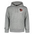 SUPERDRY Sport Modern Franchise hoodie