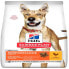 HILL´S Science plan canine adult performance chicken 14 kg dog food