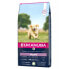 EUKANUBA Puppy Lamb And Rice 12kg Dog Food