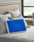 Chill Gel Memory Foam Pillow