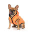 FUZZYARD Aeon Dog Sweatshirt Hoodie