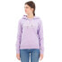 SUPERDRY Metallic Venue Logo hoodie