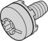 TRITON Śruba SCHROFF Taptite M6 x 10