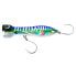 Spanish Mackerel