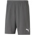 Puma teamRise Short M 704942 13