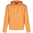 HUGO Dapo 10231445 01 hoodie