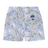 HACKETT Paradise Swimming Shorts