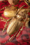 Wandschmuck Longicorn Beetle