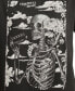 Women's Grateful Dead Skeleton Graphic Print Cotton T-Shirt