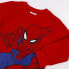 CERDA GROUP Cotton Brushed Spiderman tracksuit