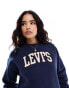 Levi's Salinas varsity chenille logo relaxed fit sweatshirt in navy