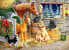 Castorland Puzzle Gathering Friends 300 elementów (241103)