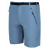 REGATTA Xert Stretch III Shorts