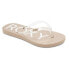 Сланцы Roxy Rg Viva Jelly Flip Flops