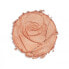 Physicians Formula Rosé All Day Petal Glow 9,2 g highlighter für Frauen