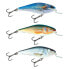 SALMO Executor SHR minnow 5g 50 mm