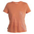 ICEBREAKER Merino Core Plume short sleeve T-shirt