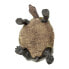 SAFARI LTD Desert Tortoise Figure