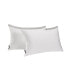 Home Embossed Ocean Waves 2 Pack Pillows, King