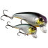 WESTIN Fat Bite crankbait 8g 55 mm