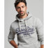 SUPERDRY Vintage Vl hoodie