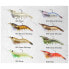 LIVE TARGET Shrimp Soft Lure 7g 75 mm