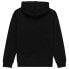 ELEMENT Cornell Classic hoodie