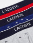 Lacoste graphics 3 pack trunks in multi