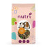 NUTRI+ Guinea Pig Mixture Food 650g