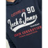 JACK & JONES Logo hoodie