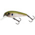 WESTIN Bully Bite crankbait 15g 70 mm